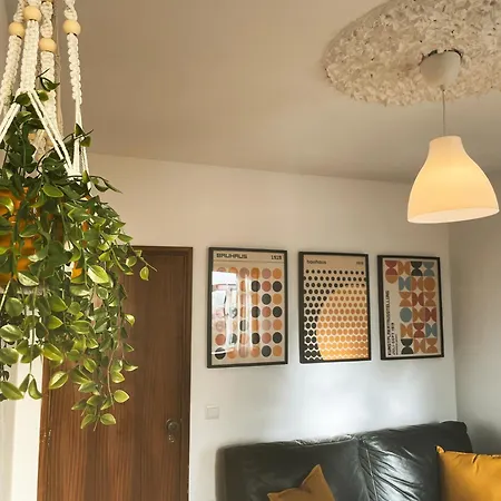 Vakantiehuis Casa Sao Lourenco *